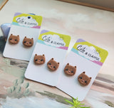Kitten studs. Brown