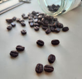 Coffee Bean Studs
