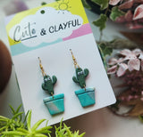 Christopher Cactus Special- Blue pots