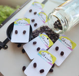 Coffee Bean Studs