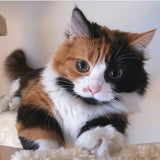 ** Customised Pet Earrings (Cat or dog) pls read description for info before you purchase